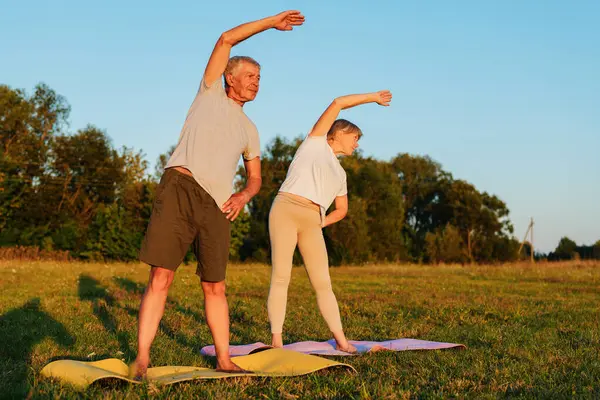 Olgun çift gün batımında çimenli bir tarlada yoga yapıyor..