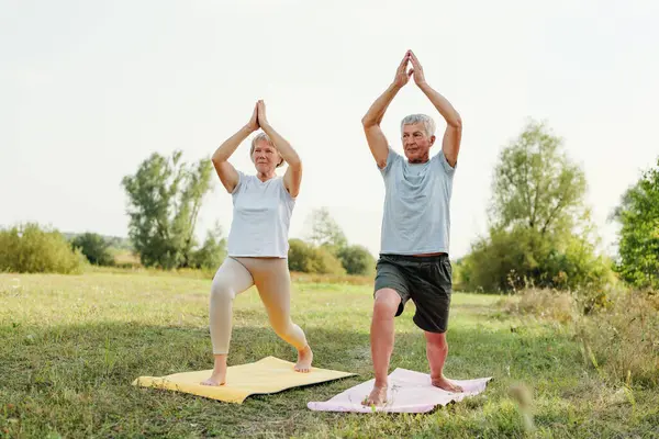 Aktif kıdemli çift bir tarlada yoga minderleri üzerinde savaşçı pozu veriyor..