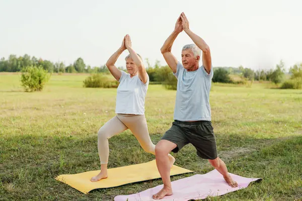 Aktif kıdemli çift bir tarlada yoga minderleri üzerinde savaşçı pozu veriyor..