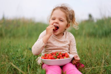 Genç bir kız çimenli bir arazide otururken mutlu bir şekilde taze çilek yer. Parlak bir gökyüzünün altında, doğanın güzellikleriyle çevrili..