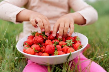 Küçük bir kızın kırmızı çilek dolu büyük beyaz bir kaseye uzanırken çekilmiş yakın plan, yüksek açılı bir fotoğraf. O yeşil çimenlerde oturuyor..