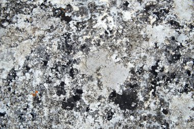 Arkaplan için beyaz ve siyah kaya dokusu