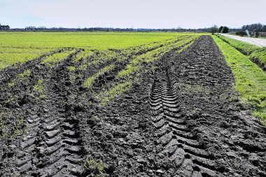 Tarladaki siyah çamurda lastik izi var.