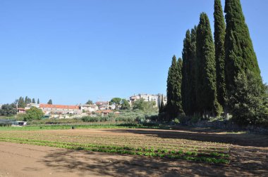Vatopedi Manastırı Athos Dağı üzerine inşa edilmiş bir manastır.