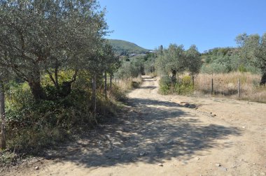 Kulübenin Kutsal Hücresi Athos Dağı üzerine inşa edilmiş bir hücredir.