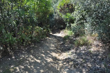 Kulübenin Kutsal Hücresi Athos Dağı üzerine inşa edilmiş bir hücredir.