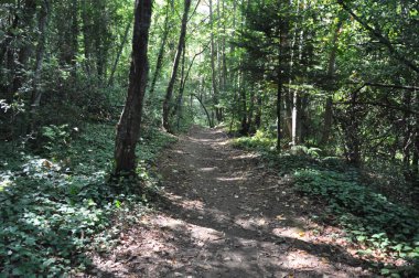 Kulübenin Kutsal Hücresi Athos Dağı üzerine inşa edilmiş bir hücredir.