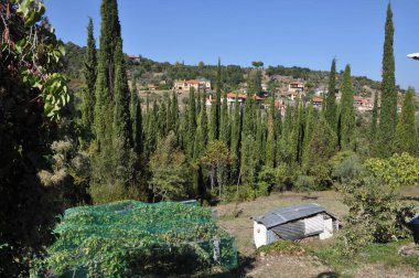 Kulübenin Kutsal Hücresi Athos Dağı üzerine inşa edilmiş bir hücredir.