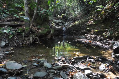 Kulübenin Kutsal Hücresi Athos Dağı üzerine inşa edilmiş bir hücredir.