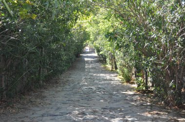 Kulübenin Kutsal Hücresi Athos Dağı üzerine inşa edilmiş bir hücredir.
