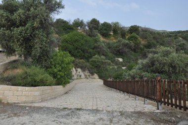 Kıbrıs 'ta yemyeşil ağaçların arasında büyüyen güzel boş bir off-road