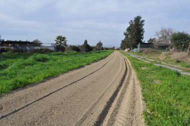 Kıbrıs 'ta yemyeşil ağaçların arasında büyüyen güzel boş bir off-road