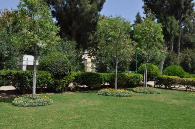 Limasol Belediye Bahçesi, çiçek açan ve renkli saksıları ve bitkileri olan güzel yeşil bir bahçeden geçen yol.