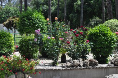 Limasol Belediye Bahçesi, çiçek açan ve renkli saksıları ve bitkileri olan güzel yeşil bir bahçeden geçen yol.