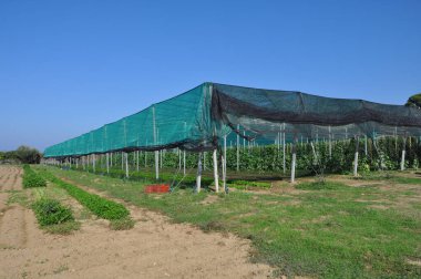 Sera İşletme Tesisleri ve Ekipmanları