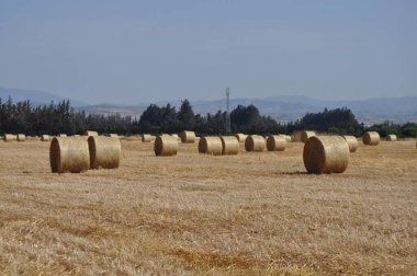 Gökyüzü zemininde saman balyaları olan alan