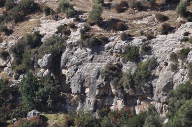 Prastio doğa yolu. Ormanlar, dağlar, uçurumlar ve göller arasında dolanan güzel bir doğa yolu.