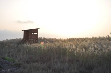 Gün batımlı bulutlu güzel gökyüzü manzarası