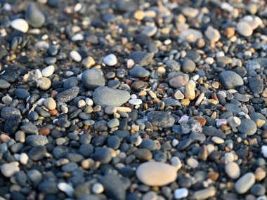 Kayalar, çakıl taşları ve küçük taşlar olan bir sahil..