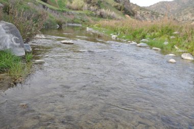 Kıbrıs'ta güzel doğal Nehir