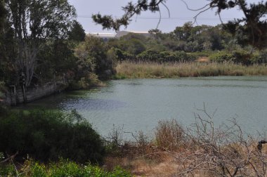 Kıbrıs'ta güzel doğal Nehir