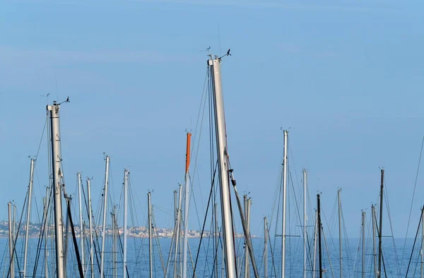 Italy Siciliy Mediterranean Sea Marina Ragusa Ragusa Province Sailboat Masts — Stock Photo, Image