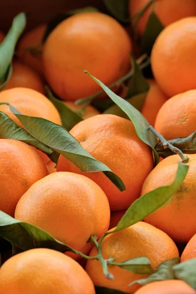 Italy Sicily Countryside Tangerines Sale Local Store — Stock Photo, Image