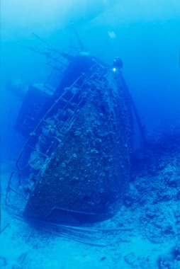EGYPT, Red Sea, the wreck of a sunken ship and a scuba diver