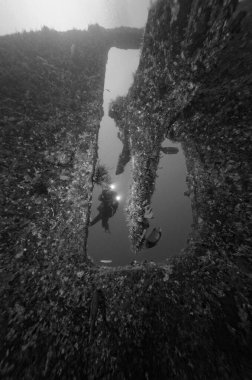 EGYPT, Red Sea, the wreck of a sunken ship and a scuba diver