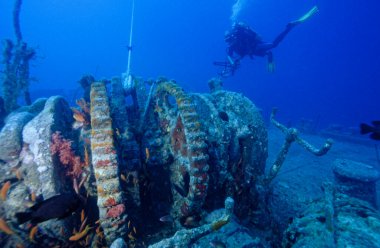 EGYPT, Red Sea, the wreck of a sunken ship and a scuba diver