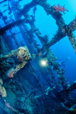 EGYPT, Red Sea, the wreck of a sunken ship and a scuba diver