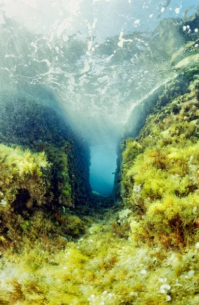 Itálie Středozemní Moře Kalábrie Briatico Spojené Království Fotografie Pohled Irenu — Stock fotografie