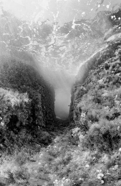 Italy Mediterranean Sea Calabria Briatico Photo View Irene Rock Which — Stock Photo, Image