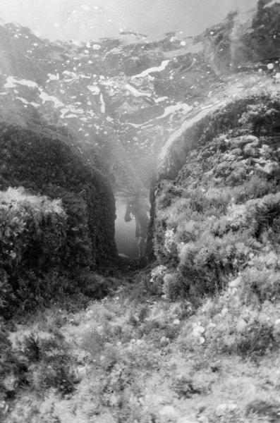 Italie Mer Méditerranée Calabre Briatico Photo Plongeur Peau Dans Roche — Photo