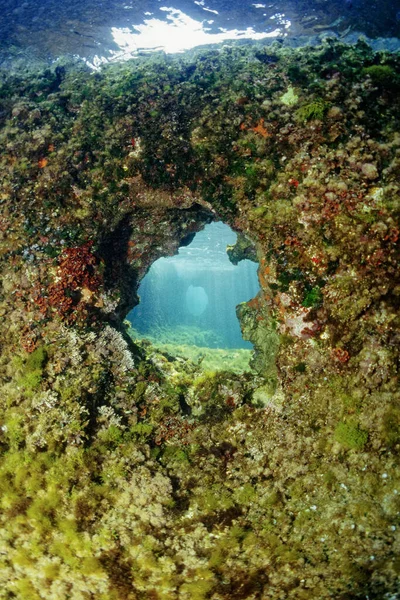 Italien Mittelmeer Kalabrien Briatico Blick Auf Den Felsen Irene Den — Stockfoto