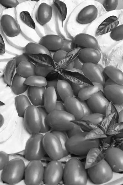 Italiaanse Tomaten Mozzarella Kaas Salade Geserveerd Met Olijfolie Basilicum — Stockfoto