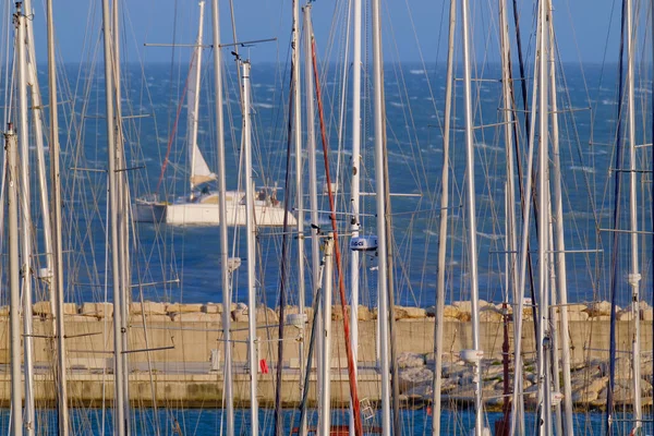 Italien Sizilien Mittelmeer Marina Ragusa Provinz Ragusa März 2023 Segelbootmasten — Stockfoto