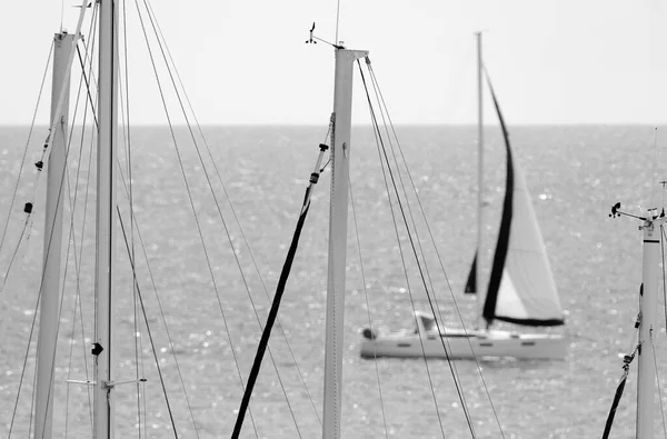 イタリア シチリア島 地中海 マリーナ ラグーザ ラグーザ州 港の帆船マストと背景の帆船 — ストック写真