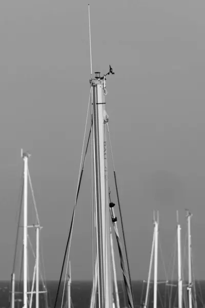 意大利 西西里 地中海 拉古萨海 拉古萨省 2023年4月11日 港口的帆船桅杆 Editorial — 图库照片