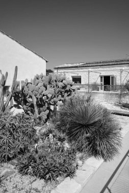 İtalya, Sicilya, Ragusa Eyaleti, kırsal alan; 13 Nisan 2023, zarif bir çiftlik, bahçe manzarası ve tatil beldesi - EDITORIAL