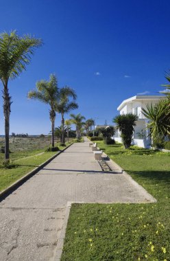 İtalya, Sicilya, Akdeniz, Playa Grande (Ragusa Eyaleti); deniz kenarında evler ve palmiye ağaçları 