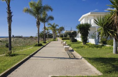 İtalya, Sicilya, Akdeniz, Playa Grande (Ragusa Eyaleti); deniz kenarında evler ve palmiye ağaçları 