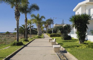 İtalya, Sicilya, Akdeniz, Playa Grande (Ragusa Eyaleti); deniz kenarında evler ve palmiye ağaçları 