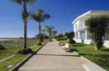 İtalya, Sicilya, Akdeniz, Playa Grande (Ragusa Eyaleti); deniz kenarında evler ve palmiye ağaçları 