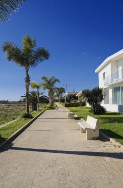 İtalya, Sicilya, Akdeniz, Playa Grande (Ragusa Eyaleti); deniz kenarında evler ve palmiye ağaçları 