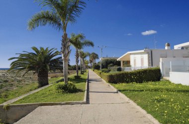 İtalya, Sicilya, Akdeniz, Playa Grande (Ragusa Eyaleti); deniz kenarında evler ve palmiye ağaçları 