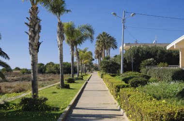 İtalya, Sicilya, Akdeniz, Playa Grande (Ragusa Eyaleti); deniz kenarında evler ve palmiye ağaçları 
