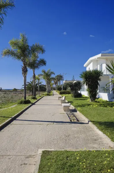 İtalya, Sicilya, Akdeniz, Playa Grande (Ragusa Eyaleti); deniz kenarında evler ve palmiye ağaçları 