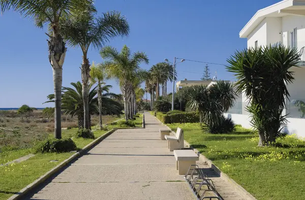 İtalya, Sicilya, Akdeniz, Playa Grande (Ragusa Eyaleti); deniz kenarında evler ve palmiye ağaçları 