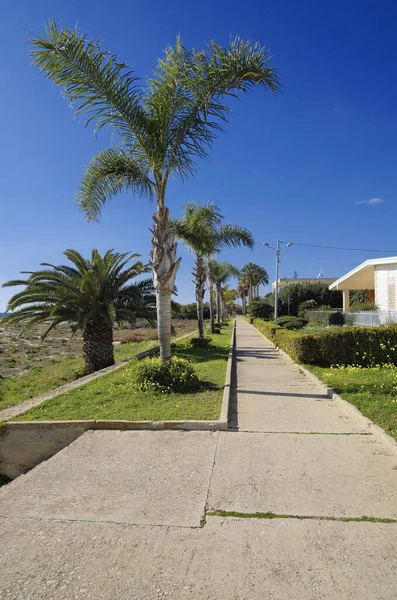 İtalya, Sicilya, Akdeniz, Playa Grande (Ragusa Eyaleti); deniz kenarında evler ve palmiye ağaçları 